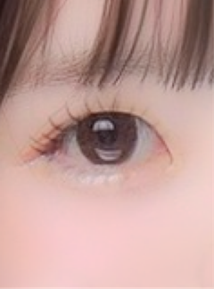 レビュー写真