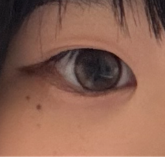 レビュー写真