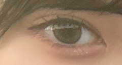 レビュー写真