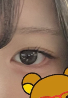 レビュー写真