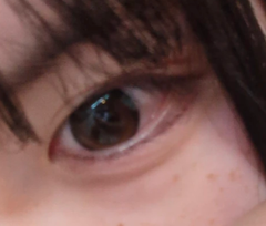 レビュー写真
