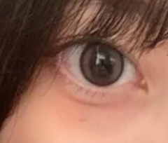 レビュー写真