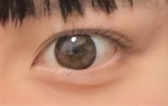 レビュー写真