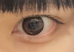 レビュー写真