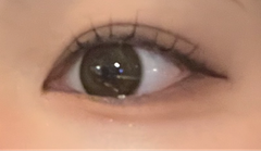 レビュー写真