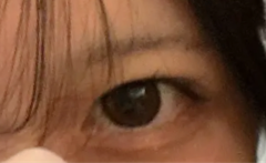 レビュー写真