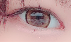 レビュー写真