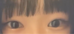 レビュー写真