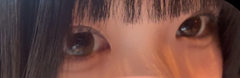 レビュー写真