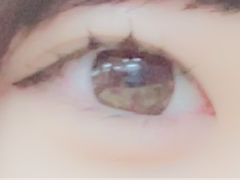 レビュー写真