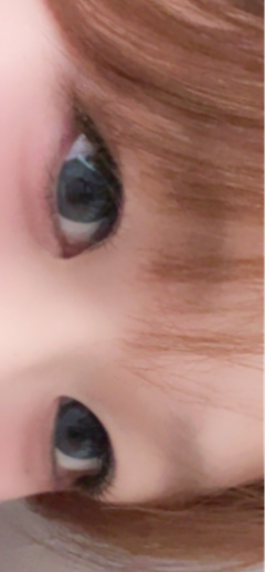 レビュー写真