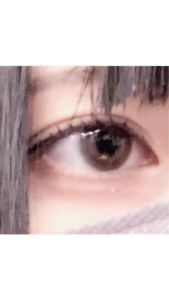 レビュー写真