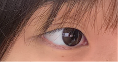 レビュー写真