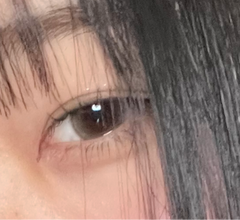 レビュー写真