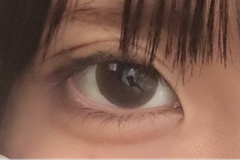 レビュー写真