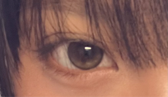 レビュー写真