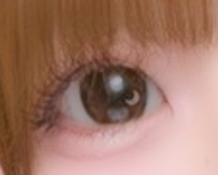 レビュー写真