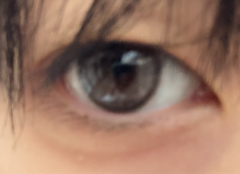 レビュー写真