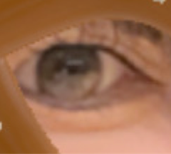 レビュー写真
