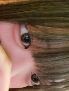 レビュー写真