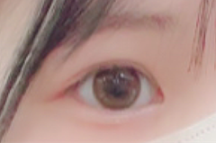 レビュー写真