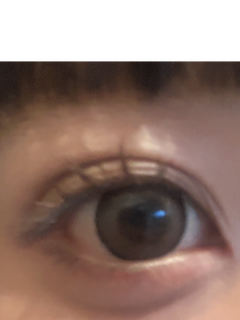 レビュー写真