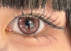 レビュー写真