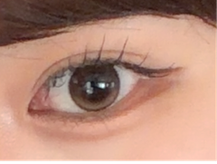 レビュー写真
