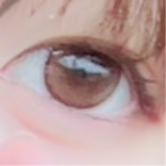レビュー写真