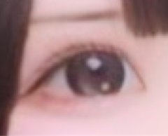 レビュー写真