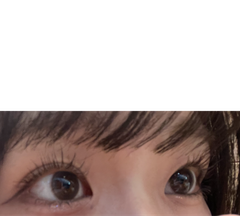 レビュー写真
