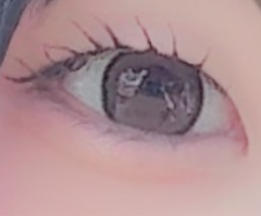 レビュー写真