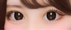 レビュー写真