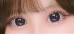 レビュー写真