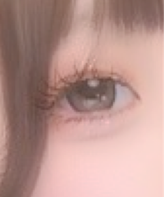 レビュー写真