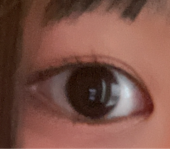 レビュー写真