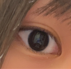 レビュー写真