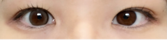 レビュー写真