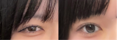 レビュー写真