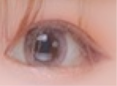 レビュー写真
