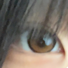レビュー写真