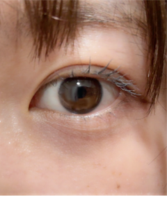 レビュー写真