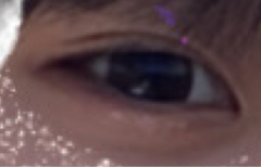 レビュー写真