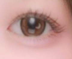 レビュー写真