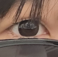 レビュー写真