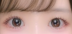 レビュー写真