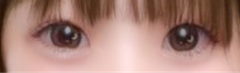 レビュー写真