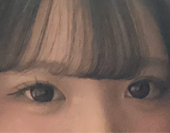 レビュー写真