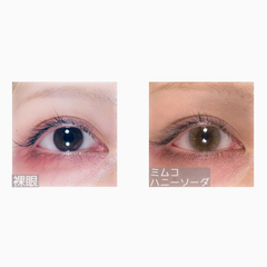 レビュー写真