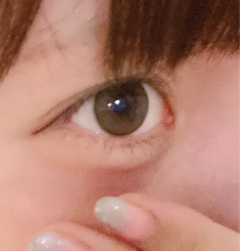 レビュー写真